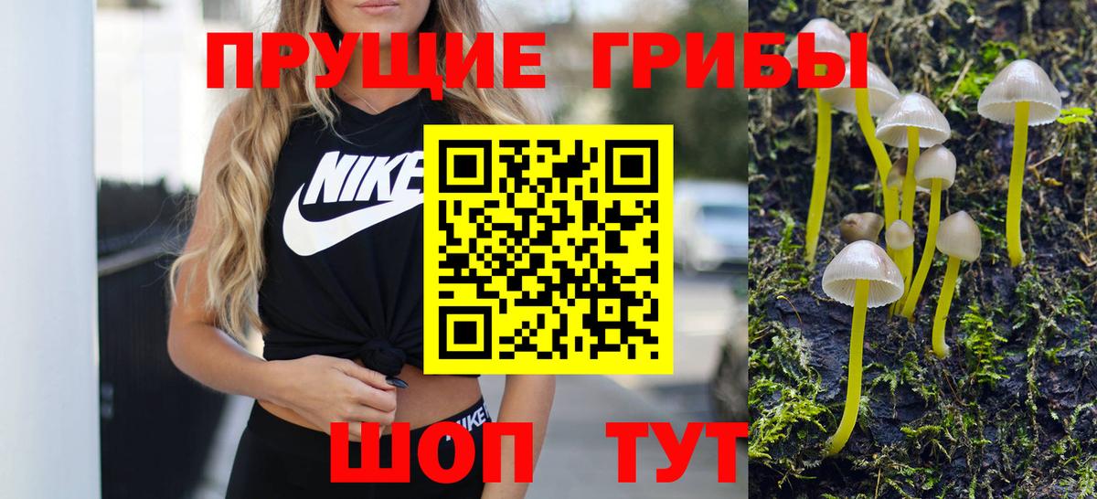 Галлюциногенные грибы ЛСД  закладка  Изобильный  Вход с VPN 