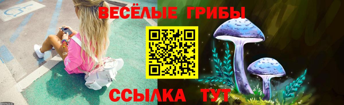 Галлюциногенные грибы Psilocybine cubensis Изобильный